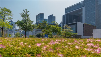 添馬公園是一個景觀開揚、環境優美，而且方便市民前往的公園，提供遼闊的休憩空間。